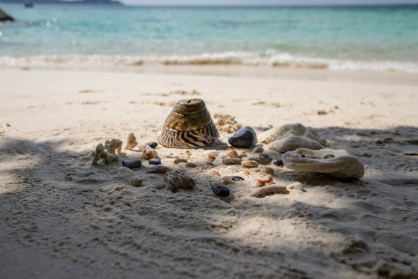 Découverte des trésors de Hyères : mer, îles et culture